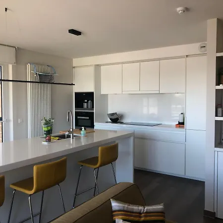 Lägenhet Penthouse Karthuizer *