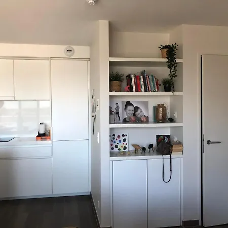 Apartamento Penthouse Karthuizer