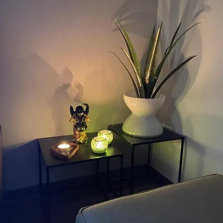 Penthouse Karthuizer Lägenhet *